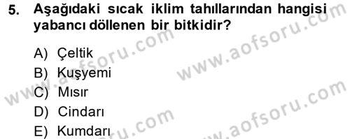 Tarla Bitkileri 1 Dersi 2013 - 2014 Yılı (Final) Dönem Sonu Sınav Soruları 5. Soru