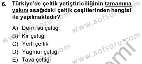 Tarla Bitkileri 1 Dersi 2013 - 2014 Yılı (Final) Dönem Sonu Sınav Soruları 6. Soru