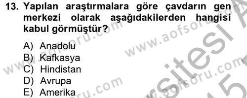 Tarla Bitkileri 1 Dersi 2014 - 2015 Yılı (Vize) Ara Sınav Soruları 13. Soru