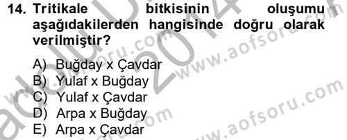 Tarla Bitkileri 1 Dersi 2014 - 2015 Yılı (Vize) Ara Sınav Soruları 14. Soru