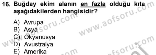 Tarla Bitkileri 1 Dersi 2014 - 2015 Yılı (Vize) Ara Sınav Soruları 16. Soru