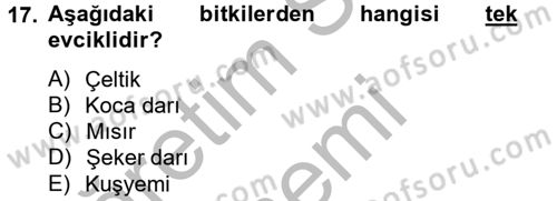 Tarla Bitkileri 1 Dersi 2014 - 2015 Yılı (Vize) Ara Sınav Soruları 17. Soru