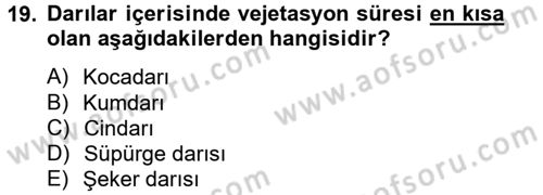 Tarla Bitkileri 1 Dersi 2014 - 2015 Yılı (Vize) Ara Sınav Soruları 19. Soru