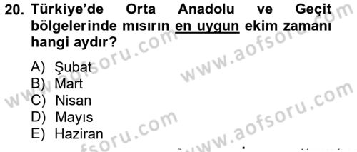 Tarla Bitkileri 1 Dersi 2014 - 2015 Yılı (Vize) Ara Sınav Soruları 20. Soru