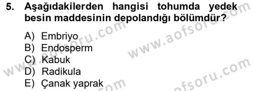 Tarla Bitkileri 1 Dersi 2014 - 2015 Yılı (Vize) Ara Sınav Soruları 5. Soru