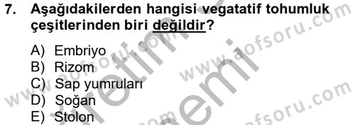 Tarla Bitkileri 1 Dersi 2014 - 2015 Yılı (Vize) Ara Sınav Soruları 7. Soru