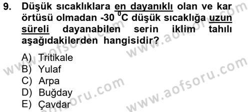 Tarla Bitkileri 1 Dersi 2014 - 2015 Yılı (Vize) Ara Sınav Soruları 9. Soru