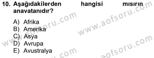 Tarla Bitkileri 1 Dersi 2014 - 2015 Yılı (Final) Dönem Sonu Sınav Soruları 10. Soru