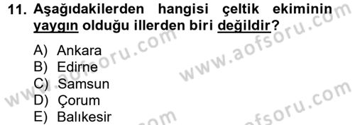 Tarla Bitkileri 1 Dersi 2014 - 2015 Yılı (Final) Dönem Sonu Sınav Soruları 11. Soru