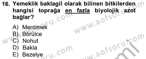 Tarla Bitkileri 1 Dersi 2014 - 2015 Yılı (Final) Dönem Sonu Sınav Soruları 16. Soru