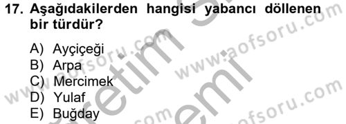 Tarla Bitkileri 1 Dersi 2014 - 2015 Yılı (Final) Dönem Sonu Sınav Soruları 17. Soru