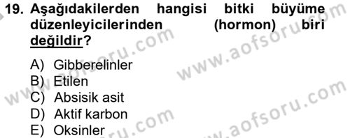 Tarla Bitkileri 1 Dersi 2014 - 2015 Yılı (Final) Dönem Sonu Sınav Soruları 19. Soru