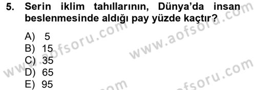 Tarla Bitkileri 1 Dersi 2014 - 2015 Yılı (Final) Dönem Sonu Sınav Soruları 5. Soru