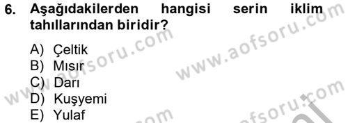 Tarla Bitkileri 1 Dersi 2014 - 2015 Yılı (Final) Dönem Sonu Sınav Soruları 6. Soru