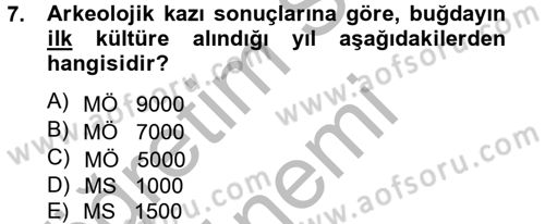 Tarla Bitkileri 1 Dersi 2014 - 2015 Yılı (Final) Dönem Sonu Sınav Soruları 7. Soru