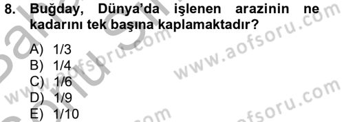 Tarla Bitkileri 1 Dersi 2014 - 2015 Yılı (Final) Dönem Sonu Sınav Soruları 8. Soru