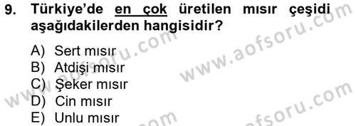 Tarla Bitkileri 1 Dersi 2014 - 2015 Yılı (Final) Dönem Sonu Sınav Soruları 9. Soru