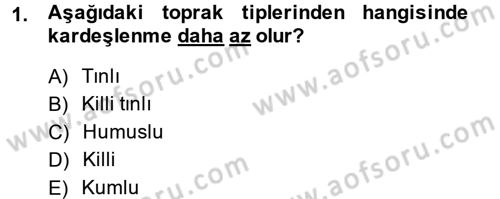 Tarla Bitkileri 1 Dersi 2014 - 2015 Yılı Tek Ders Sınav Soruları 1. Soru
