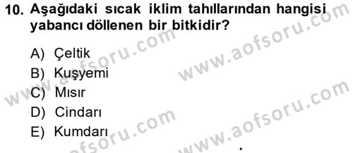 Tarla Bitkileri 1 Dersi 2014 - 2015 Yılı Tek Ders Sınav Soruları 10. Soru