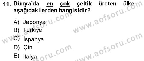 Tarla Bitkileri 1 Dersi 2014 - 2015 Yılı Tek Ders Sınav Soruları 11. Soru