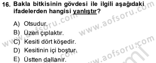 Tarla Bitkileri 1 Dersi 2014 - 2015 Yılı Tek Ders Sınav Soruları 16. Soru