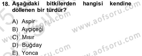 Tarla Bitkileri 1 Dersi 2014 - 2015 Yılı Tek Ders Sınav Soruları 18. Soru