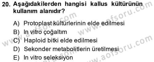 Tarla Bitkileri 1 Dersi 2014 - 2015 Yılı Tek Ders Sınav Soruları 20. Soru
