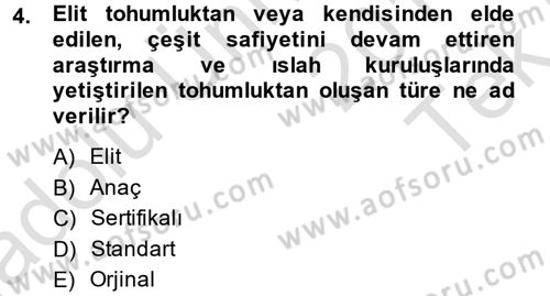 Tarla Bitkileri 1 Dersi 2014 - 2015 Yılı Tek Ders Sınav Soruları 4. Soru