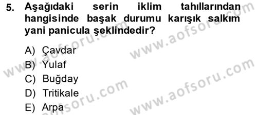 Tarla Bitkileri 1 Dersi 2014 - 2015 Yılı Tek Ders Sınav Soruları 5. Soru