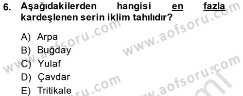 Tarla Bitkileri 1 Dersi 2014 - 2015 Yılı Tek Ders Sınav Soruları 6. Soru