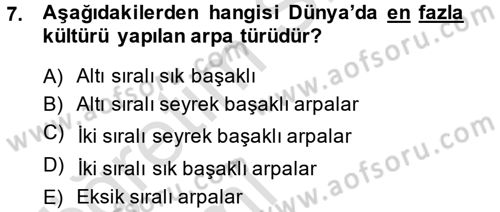 Tarla Bitkileri 1 Dersi 2014 - 2015 Yılı Tek Ders Sınav Soruları 7. Soru