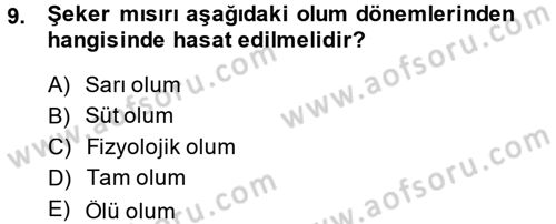 Tarla Bitkileri 1 Dersi 2014 - 2015 Yılı Tek Ders Sınav Soruları 9. Soru