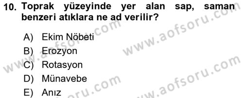 Tarla Bitkileri 1 Dersi 2015 - 2016 Yılı (Vize) Ara Sınav Soruları 10. Soru