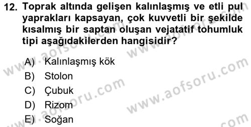 Tarla Bitkileri 1 Dersi 2015 - 2016 Yılı (Vize) Ara Sınav Soruları 12. Soru