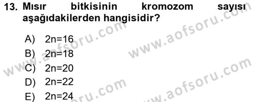 Tarla Bitkileri 1 Dersi 2015 - 2016 Yılı (Vize) Ara Sınav Soruları 13. Soru