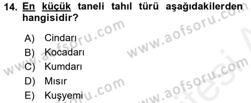 Tarla Bitkileri 1 Dersi 2015 - 2016 Yılı (Vize) Ara Sınav Soruları 14. Soru