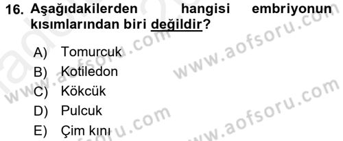 Tarla Bitkileri 1 Dersi 2015 - 2016 Yılı (Vize) Ara Sınav Soruları 16. Soru