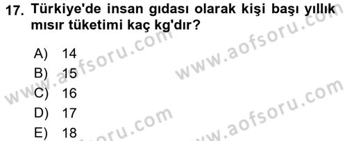 Tarla Bitkileri 1 Dersi 2015 - 2016 Yılı (Vize) Ara Sınav Soruları 17. Soru