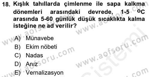 Tarla Bitkileri 1 Dersi 2015 - 2016 Yılı (Vize) Ara Sınav Soruları 18. Soru