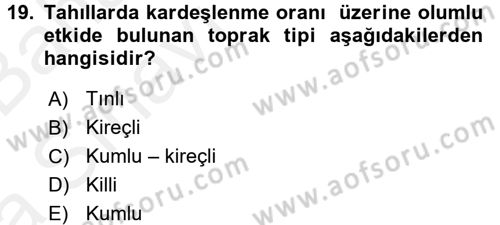 Tarla Bitkileri 1 Dersi 2015 - 2016 Yılı (Vize) Ara Sınav Soruları 19. Soru