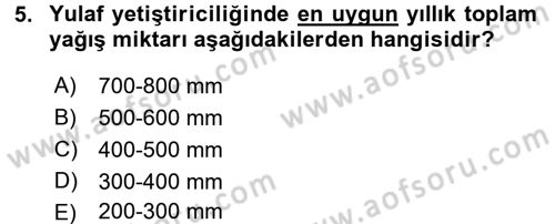 Tarla Bitkileri 1 Dersi 2015 - 2016 Yılı (Vize) Ara Sınav Soruları 5. Soru