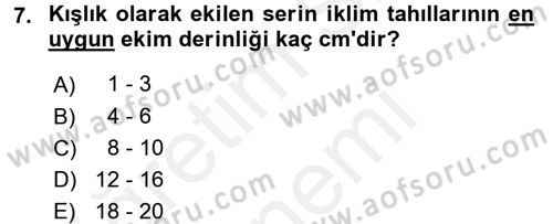 Tarla Bitkileri 1 Dersi 2015 - 2016 Yılı (Vize) Ara Sınav Soruları 7. Soru