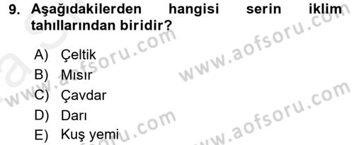 Tarla Bitkileri 1 Dersi 2015 - 2016 Yılı (Vize) Ara Sınav Soruları 9. Soru