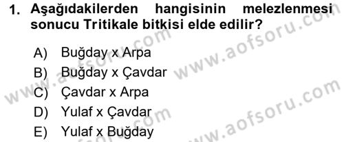 Tarla Bitkileri 1 Dersi 2015 - 2016 Yılı (Final) Dönem Sonu Sınav Soruları 1. Soru