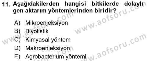 Tarla Bitkileri 1 Dersi 2015 - 2016 Yılı (Final) Dönem Sonu Sınav Soruları 11. Soru