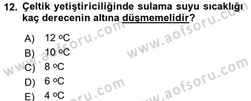 Tarla Bitkileri 1 Dersi 2015 - 2016 Yılı (Final) Dönem Sonu Sınav Soruları 12. Soru