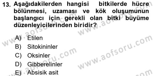 Tarla Bitkileri 1 Dersi 2015 - 2016 Yılı (Final) Dönem Sonu Sınav Soruları 13. Soru