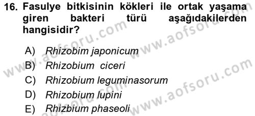 Tarla Bitkileri 1 Dersi 2015 - 2016 Yılı (Final) Dönem Sonu Sınav Soruları 16. Soru