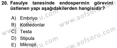Tarla Bitkileri 1 Dersi 2015 - 2016 Yılı (Final) Dönem Sonu Sınav Soruları 20. Soru
