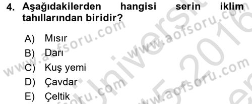 Tarla Bitkileri 1 Dersi 2015 - 2016 Yılı (Final) Dönem Sonu Sınav Soruları 4. Soru